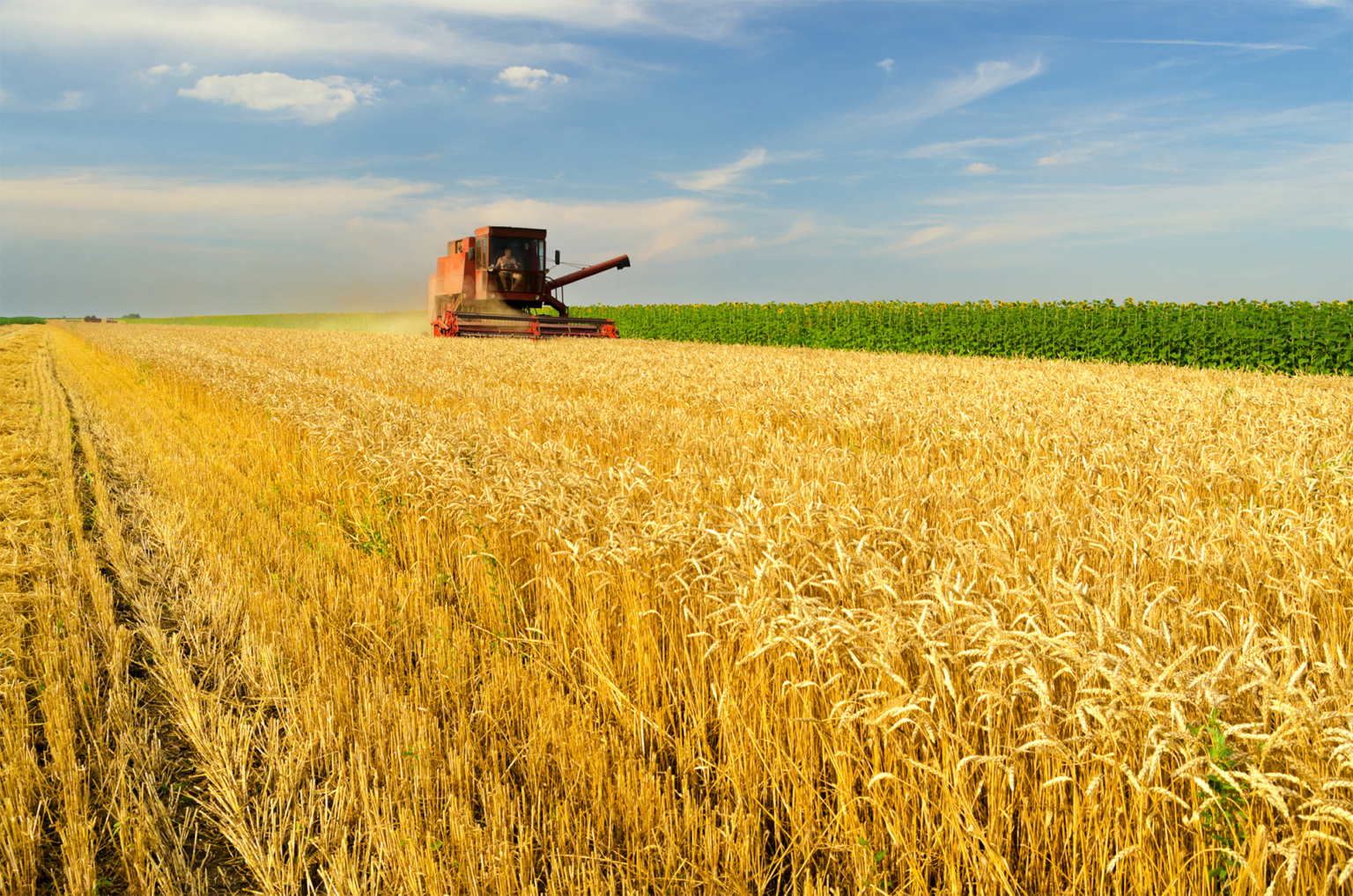 Produtos para otimização do plantio geral