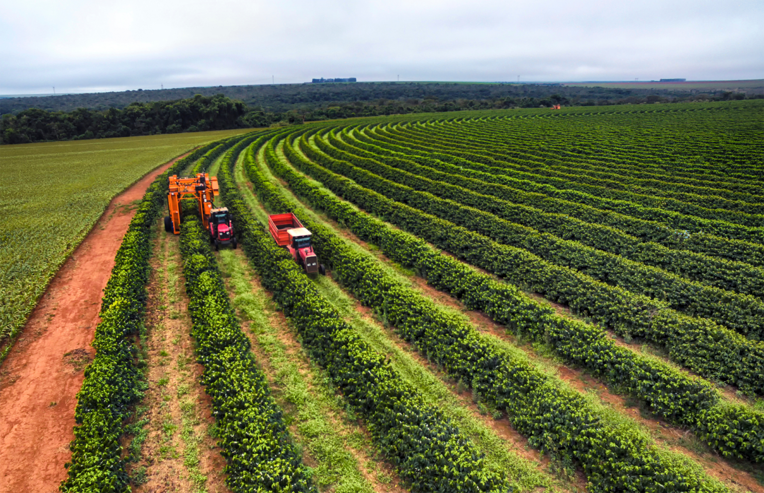 Agentes de defesa para diversas aplicações